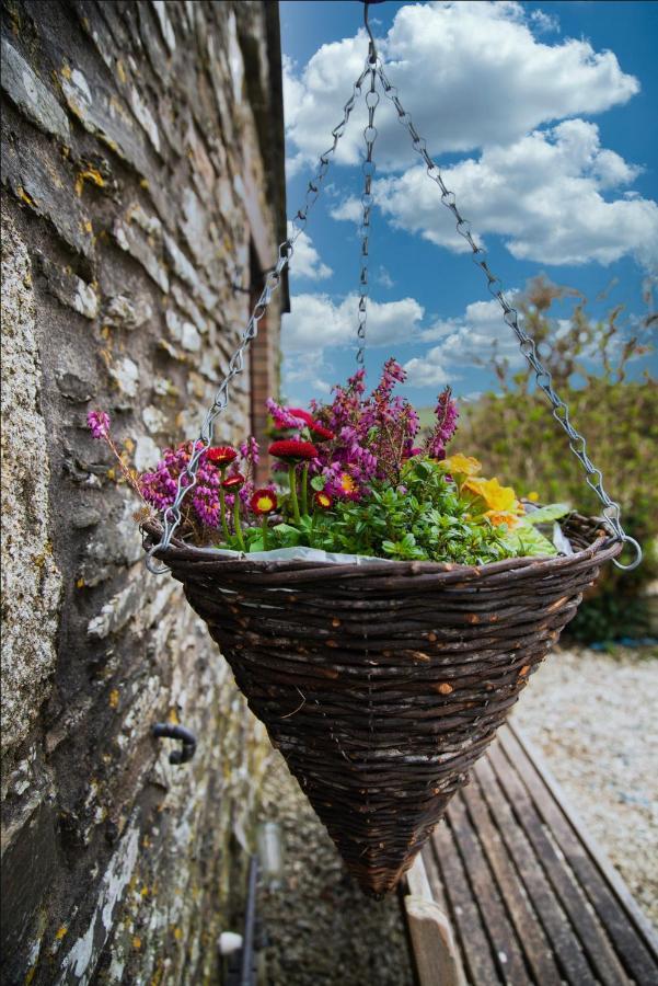 Polrunny Farm Seaberry Cottage With A Sea View And Log Burner Boscastle Exterior foto
