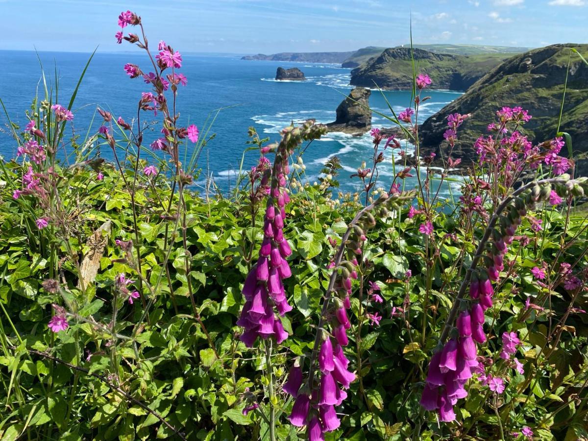 Polrunny Farm Seaberry Cottage With A Sea View And Log Burner Boscastle Exterior foto