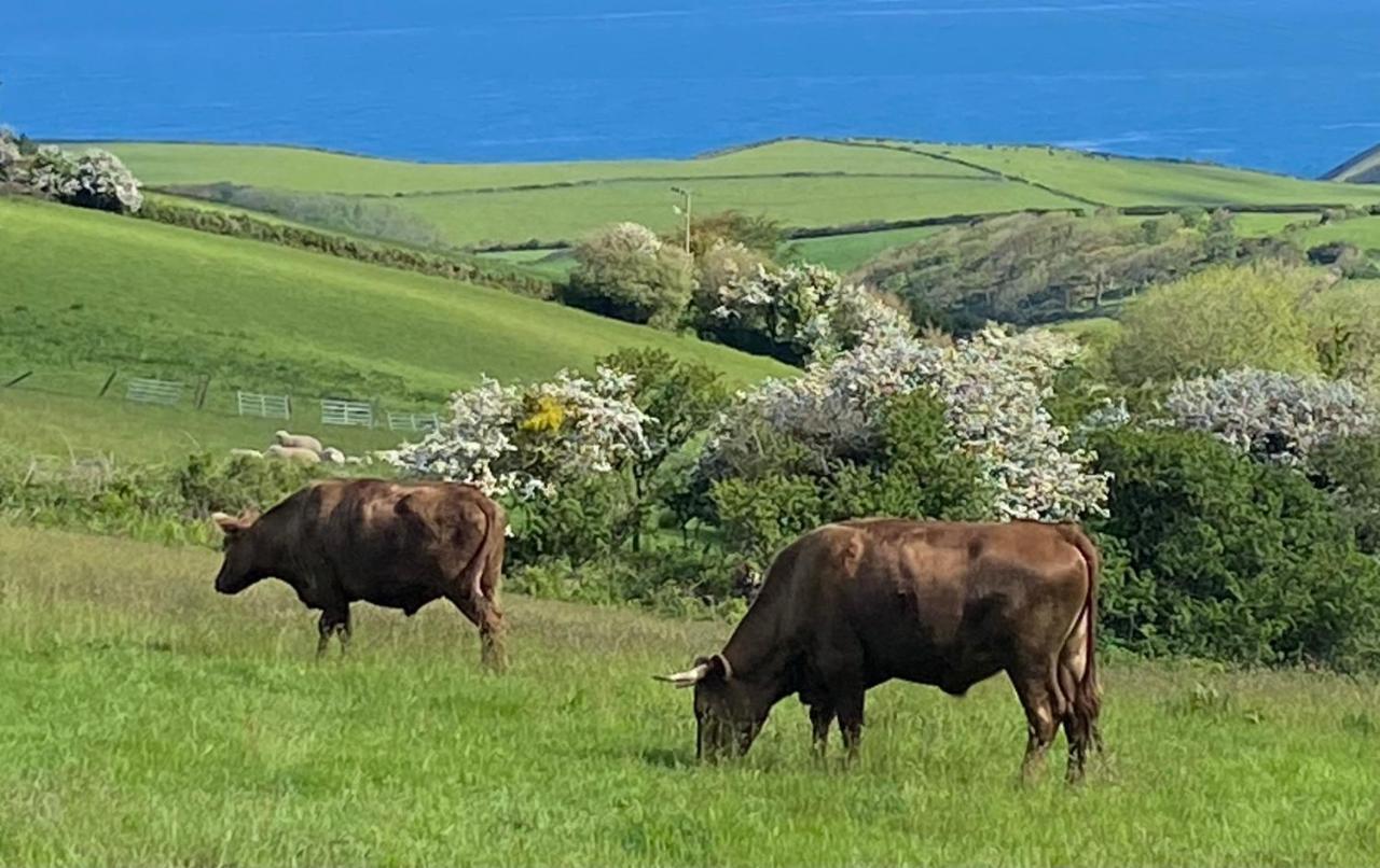 Polrunny Farm Seaberry Cottage With A Sea View And Log Burner Boscastle Exterior foto