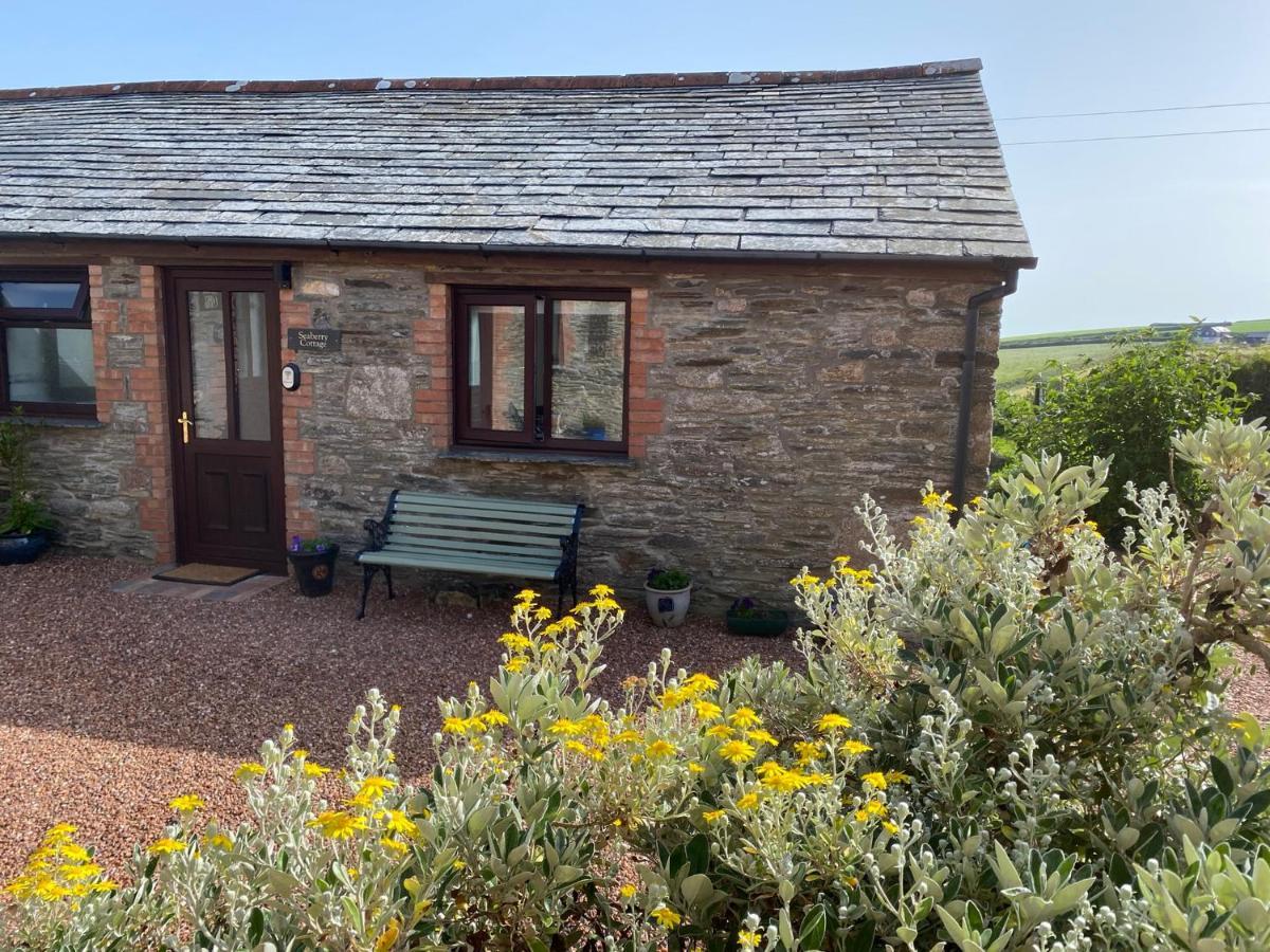 Polrunny Farm Seaberry Cottage With A Sea View And Log Burner Boscastle Exterior foto